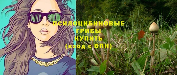 молекула духа Верхний Тагил