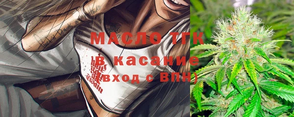 молекула духа Верхний Тагил