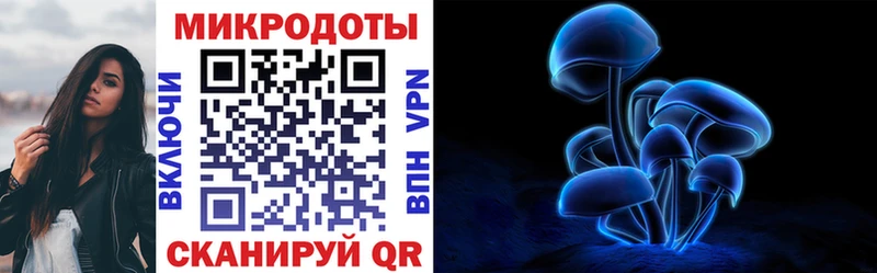 Галлюциногенные грибы Psilocybine cubensis  Купить закладки  Оренбург 